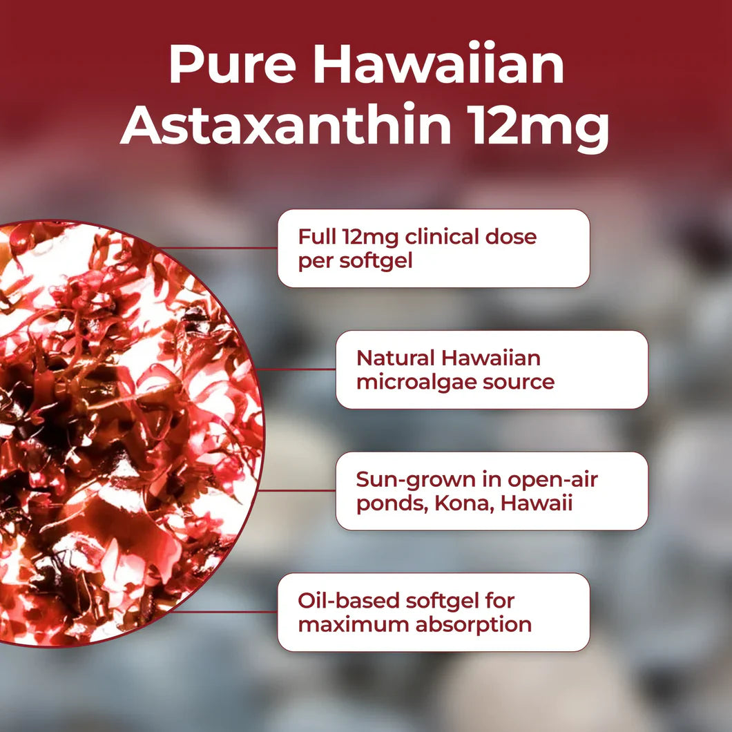 Splendor Astaxanthin
