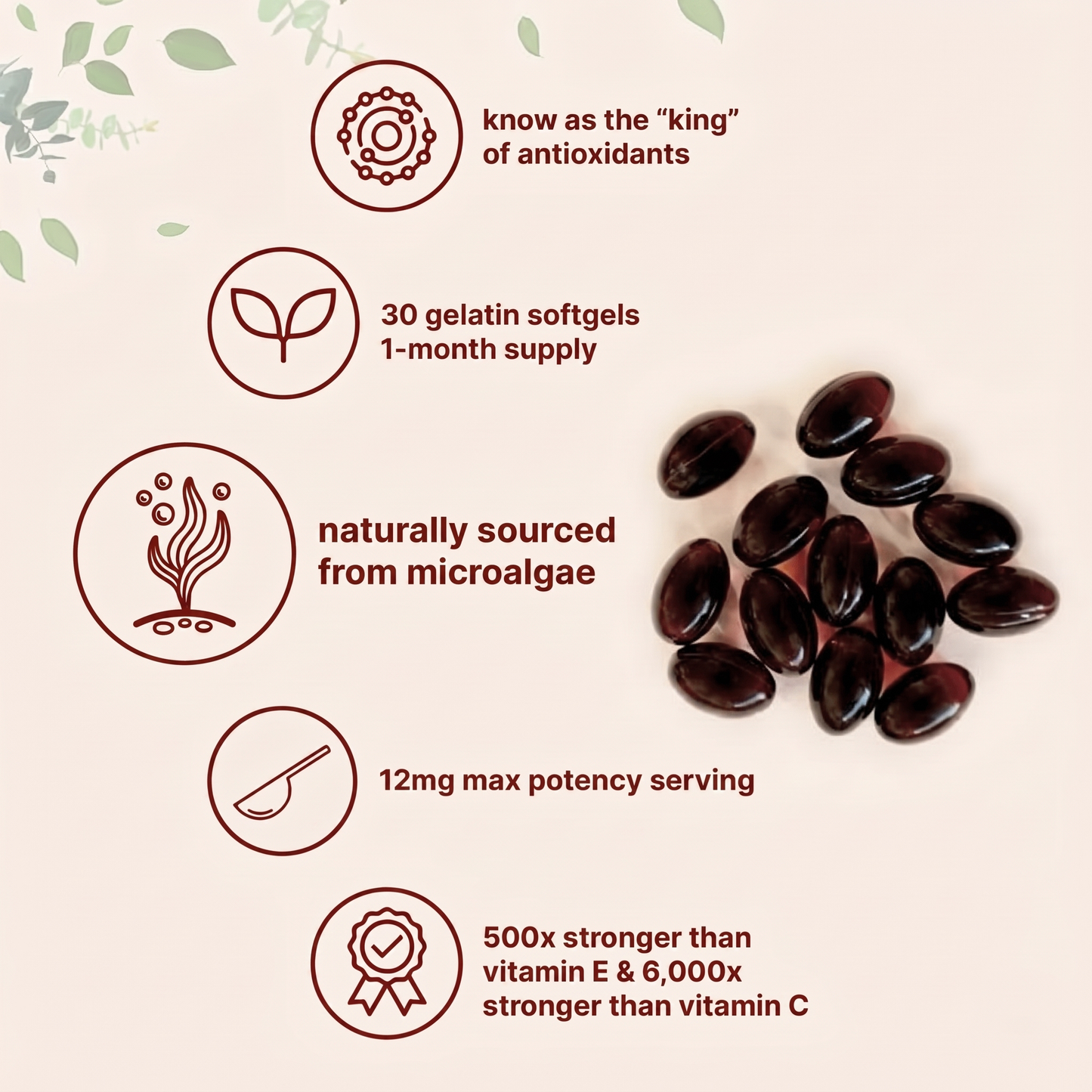 Splendor Astaxanthin